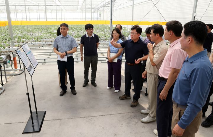이승돈 농촌진흥청장이 17일 전남 담양 친환경토마토재배 농가를 방문해 '토마토뿔나방' 방제 상황을 점검하고 있다.(사진 : 농진청 제공) *재판매 및 DB 금지