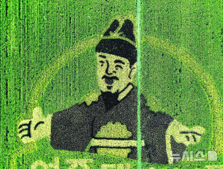 [여주=뉴시스] 김종택 기자 = 쌀의 날을 하루 앞둔 17일 경기 여주시 능서면 세종대왕릉역 인근 들녘에 유색벼로 조성된 세종대왕 논그림이 그려져 눈길을 끌고 있다. 2025.08.17. jtk@newsis.com