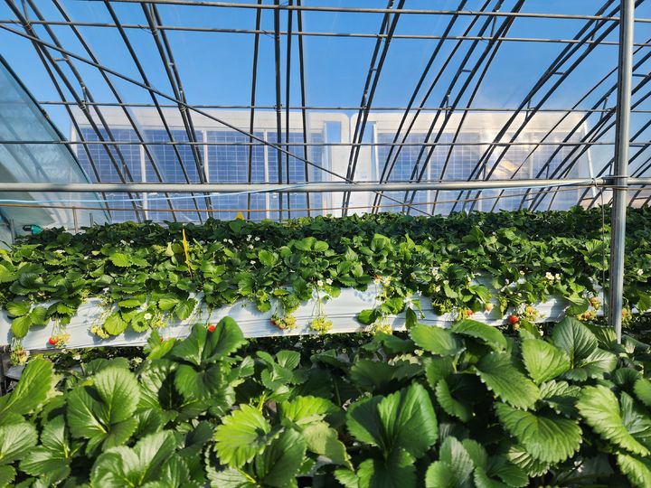 [서울=뉴시스] 친환경 태양광열시스템 실증 모습. (사진=숙명여대 제공) 2025.08.18. photo@newsis.com *재판매 및 DB 금지