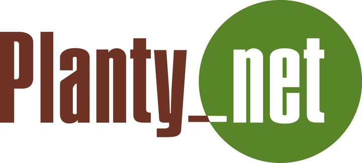 플랜티넷, 상반기 영업이익 35억…전년比 309%↑