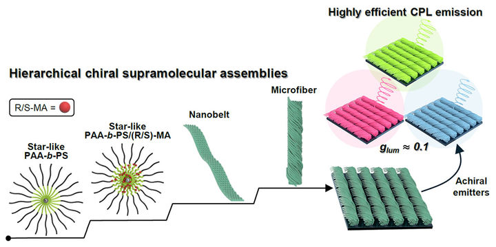[서울=뉴시스] 계층적 키랄 초분자 공동 조립을 통한 풀컬러 고효율 원편광 활성 소재 제작 모식도. (사진=이화여대 제공) 2025.08.18. photo@newsis.com&nbsp; *재판매 및 DB 금지
