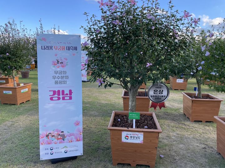 산림청 '무궁화 우수분화 품평회'에서 은상을 수상한 경남도산림환경연구원 출품 무궁화. *재판매 및 DB 금지