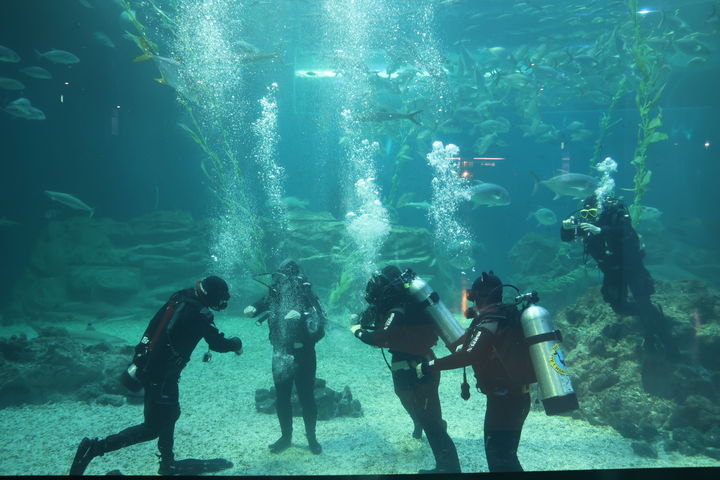 충북해양교육원 제주분원이 운영하는 '자기성장 해양체험' 프로그램에 참여한 학생들이 스킨스쿠버 체험을 하고 있다. *재판매 및 DB 금지