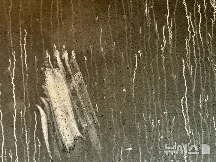 [서울=뉴시스] 한이재 기자 = 18일 오전 서울 마포구 창전동 한 아파트에 남은 전날 화재 흔적이다. 계단 옆 벽에는 장갑을 낀 채 짚은 손자국이 당시 상황을 추정케 한다. 2025.08.18. nowone@newsis.com