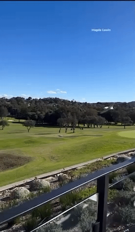 [뉴시스] 17일(현지시간) 호주 시드니의 한 골프장에서 골프를 치고 있는 사람들 머리 위로 경비행기가 지나 추락했다. (영상=데일리메일) 2025.08.17. *재판매 및 DB 금지