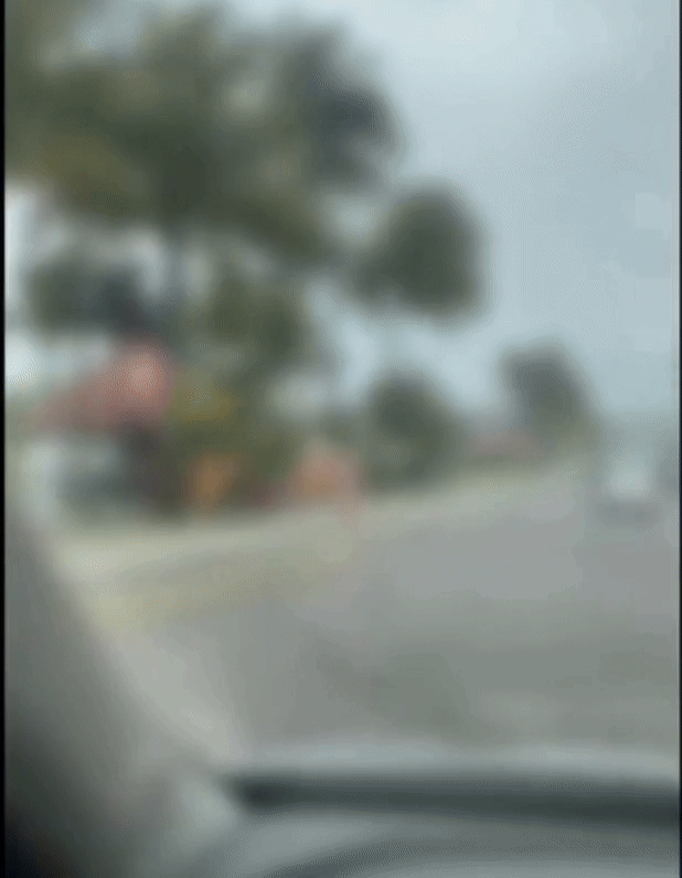 [뉴시스]벌거벗은 여성이 상파울루 해안의 해변에서 경비원들에게 접근해 아버지를 죽였다고 자백했다. (사진=g1) 2025.8.17 *재판매 및 DB 금지