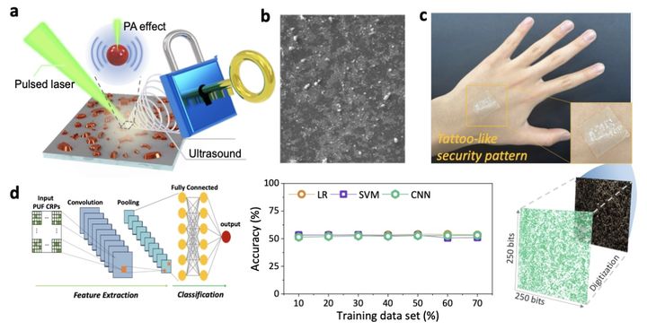 [서울=뉴시스] (a) 광-음향 효과를 활용한 보안 인증 소자 개요. (b) 나노입자 복합체의 전자현미경 이미지. (c) 웨어러블 소자의 실제 사진 및 손등 위에서 추출된 보안 패턴. (d) CNN을 활용한 AI 머신러닝 공격 모사도 및 제안 소자의 AI 공격 방어 성능. (사진=한양대 제공) 2025.08.18. photo@newsis.com *재판매 및 DB 금지