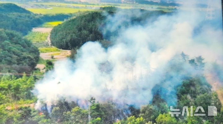 [포항=뉴시스] 안병철 기자 = 18일 오후 3시18분께 경북 포항시 북구 흥해읍 성곡리 한 야산에서 화재가 발생했다.(사진=포항북부소방서 제공) 2025.08.18. photo@newsis.com