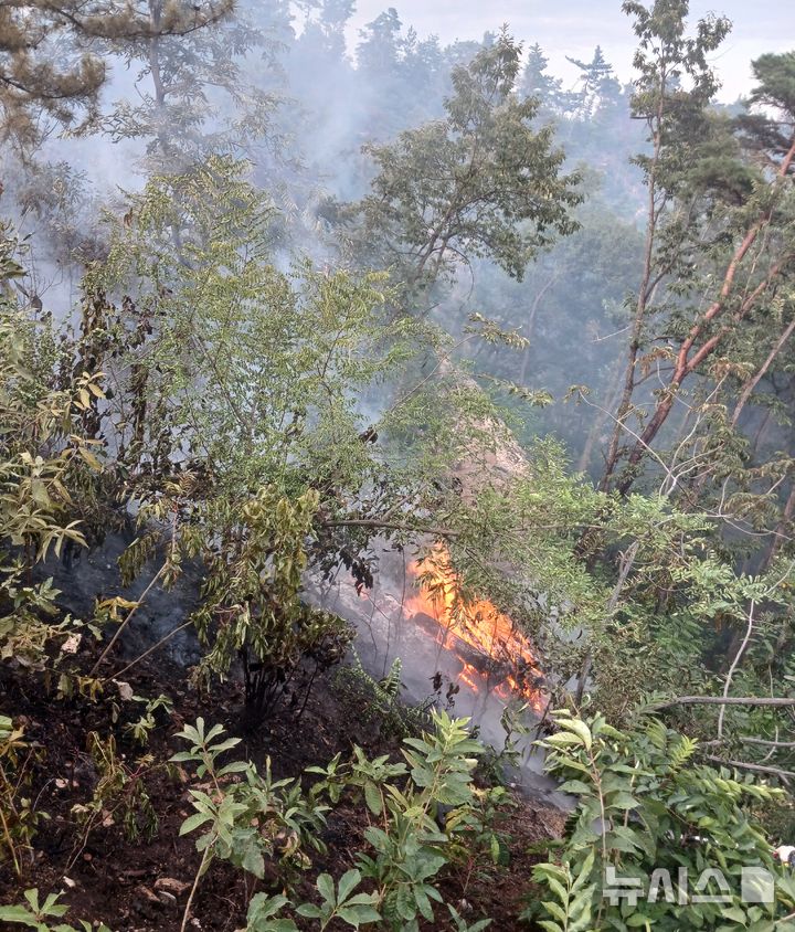 [포항=뉴시스] 안병철 기자 = 18일 오후 3시18분께 경북 포항시 북구 흥해읍 성곡리 한 야산에서 화재가 발생했다.(사진=포항북부소방서 제공) 2025.08.18. photo@newsis.com