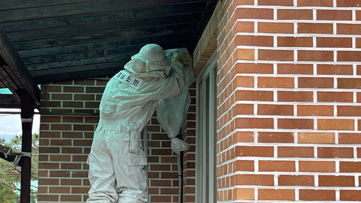 [산청=뉴시스] 산청소방서, 여름철 벌 쏘임 사고 주의 당부 (사진=산청소방서 제공) 2025. 08. 19. photo@newsis.com *재판매 및 DB 금지