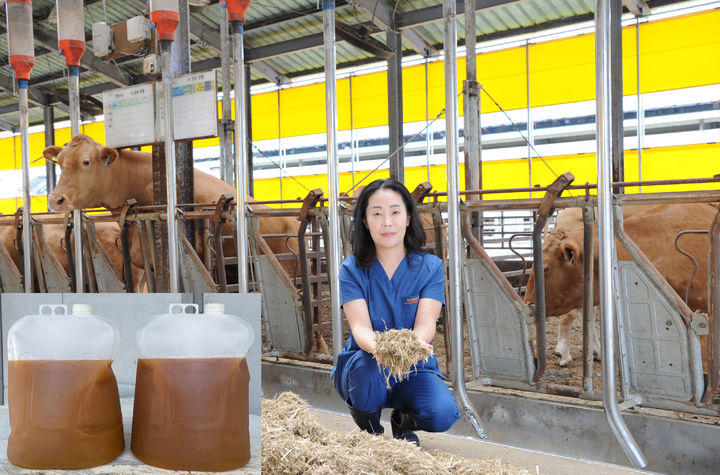 [무안=뉴시스] 지역 내 축산농가를 위해 기능성 사료를 개발중인 전남농업기술원 축산연구소 구민정 연구사. (사진 제공 = 전남농기원). 2025.08.19. photo@newsis.com *재판매 및 DB 금지