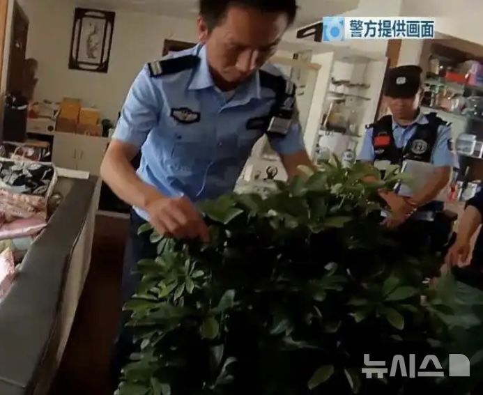 [뉴시스]현장에 출동한 경찰이 거실 곳곳을 수색하며 화분 속에 숨어 있던 뱀을 찾아 내는 모습.(사진=지무신문)