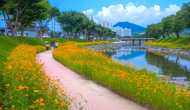 순창 양지천 풍경. *재판매 및 DB 금지