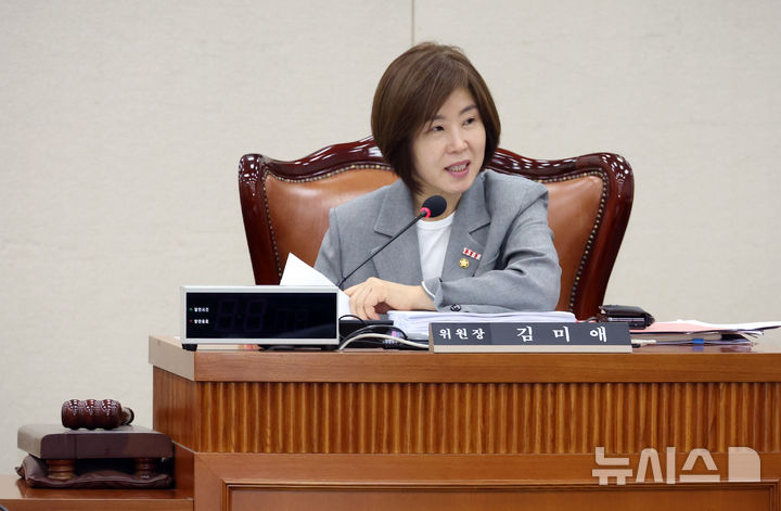 [서울=뉴시스] 김금보 기자 = 김미애 국회 보건복지위원회 법안심사제1소위원장이 19일 서울 여의도 국회에서 열린 소위원회를 주재하고 있다. 2025.08.19. kgb@newsis.com