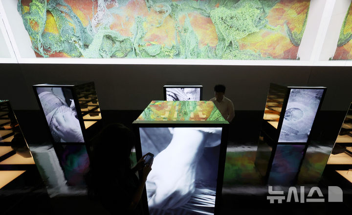 [서울=뉴시스] 홍효식 기자 = 19일 서울 중구 동대문디자인플라자(DDP)에서 열린 '헤리티지 : 더 퓨처 판타지' 전시 기자간담회에서 국가유산진흥원 직원들이 국가무형유산 장인들의 공예기술을 담은 AI 영상 '자연으로부터' 미디어아트와 실제 전승공예품을 살펴보고 있다. 국내 최초 국가유산을 활용한 디지털 콘텐츠 종합 전시 '헤리티지 : 더 퓨처 판타지'는 오는 23일 개막해 9월 17일까지 열린다. 2025.08.19. yesphoto@newsis.com