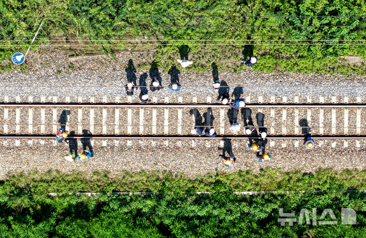 [청도=뉴시스] 이무열 기자 = 무궁화호 열차가 선로 인근에서 작업 중이던 근로자 7명을 치는 사고가 발생한 19일 경북 청도군 화양읍 삼신리 경부선 철로에서 경찰과 소방, 코레일 등 관계들이 사고가 난 현장을 조사하고 있다. 2025.08.19. lmy@newsis.com