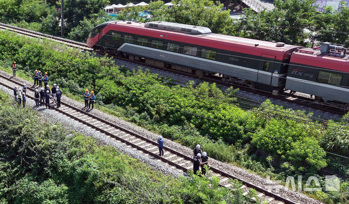 [청도=뉴시스] 이무열 기자 = 무궁화호 열차가 선로 인근에서 작업 중이던 근로자 7명을 치는 사고가 발생한 19일 경북 청도군 화양읍 삼신리 경부선 철로에서 경찰과 소방, 코레일 등 관계들이 사고가 난 현장을 조사하고 있다. 2025.08.19. lmy@newsis.com