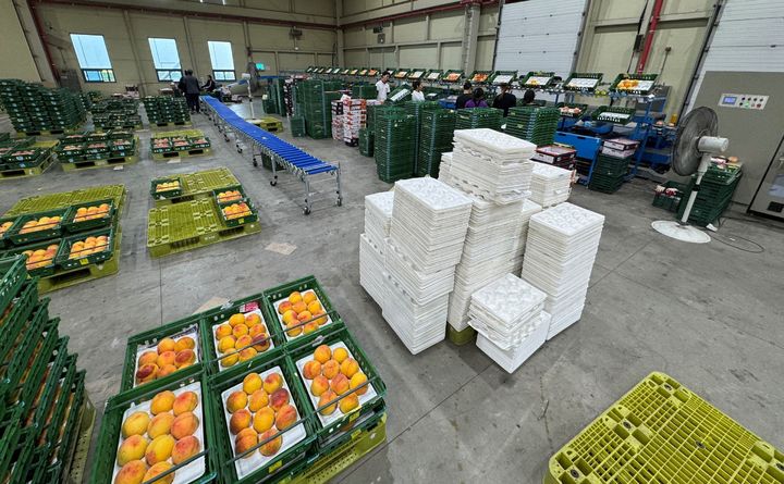  [의성=뉴시스] 과수거점APC (사진=의성군 제공) 2025.08.20. photo@newsis.com *재판매 및 DB 금지