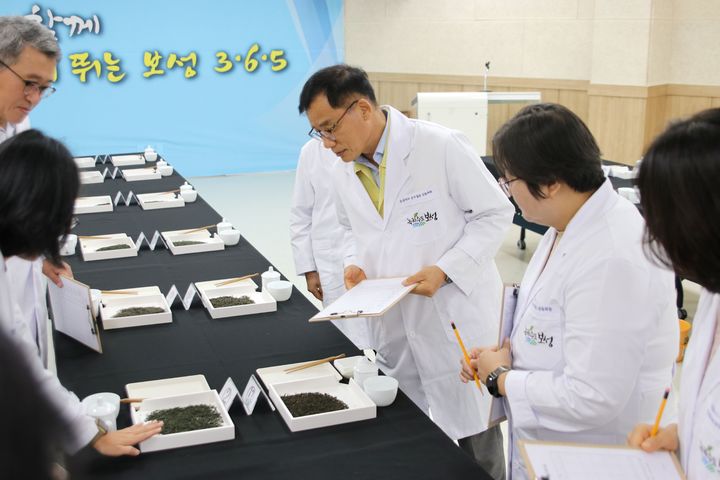 [보성=뉴시스] 보성녹차 군수품질인증 심사위원들이 지난 19일 봇재홀에서 출품된 녹차의 품질을 심사하고 있다. (사진=보성군 제공) 20205.08.20. photo@newsis.com *재판매 및 DB 금지