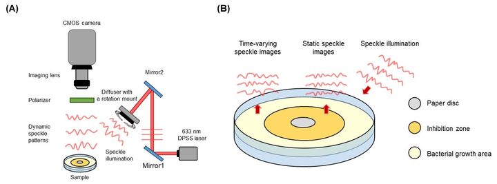 [수원=뉴시스] 아주대 연구팀이 연구해온 레이저 스페클 영상 기술을 통한 항생제 효과 조기 진단 기술 모식도. (사진=아주대 제공) 2025.08.21. photo@newsis.com *재판매 및 DB 금지