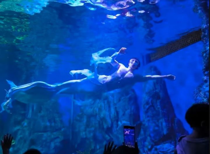 [뉴시스] 공연 중인 샤오 송이. (사진=QQ..com) 2025.8.21 *재판매 및 DB 금지