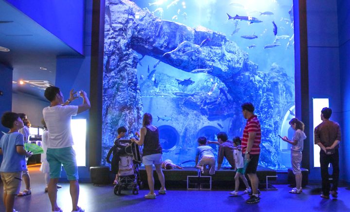 충북 단양 다누리아쿠아리움 *재판매 및 DB 금지