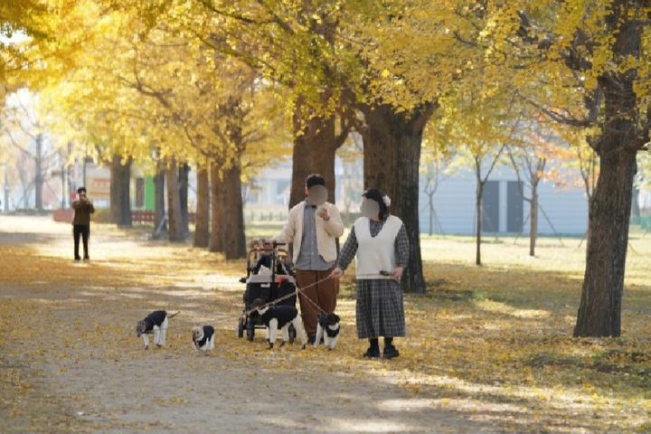 [여주=뉴시스]여주 강천섬(사진=여주시 제공)2025.08.21.photo@newsis.com *재판매 및 DB 금지