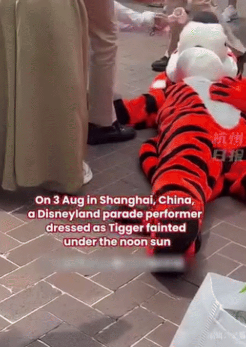 [뉴시스] 중국 상하이 디즈니랜드에서 인형 탈을 쓴 직원이 일사병으로 쓰러졌다. 2025.08.21. (사진=페이스북 캡처) *재판매 및 DB 금지