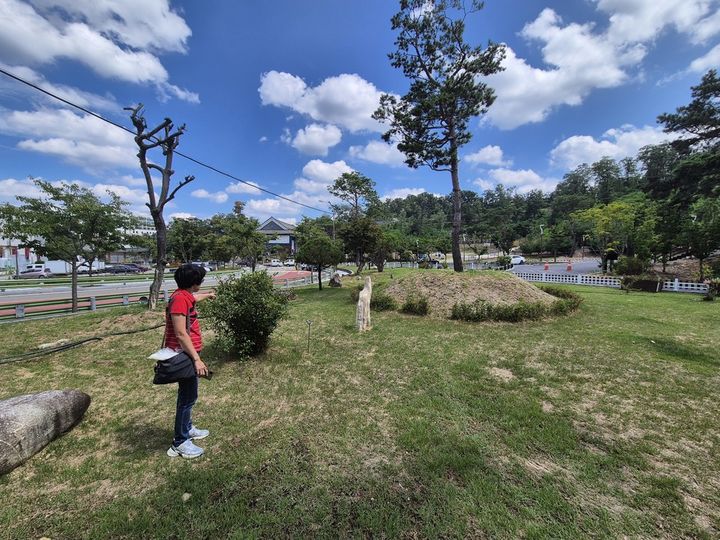 충북 민주당 "영동군 조경수 실종 감사, 외부에 맡겨야"