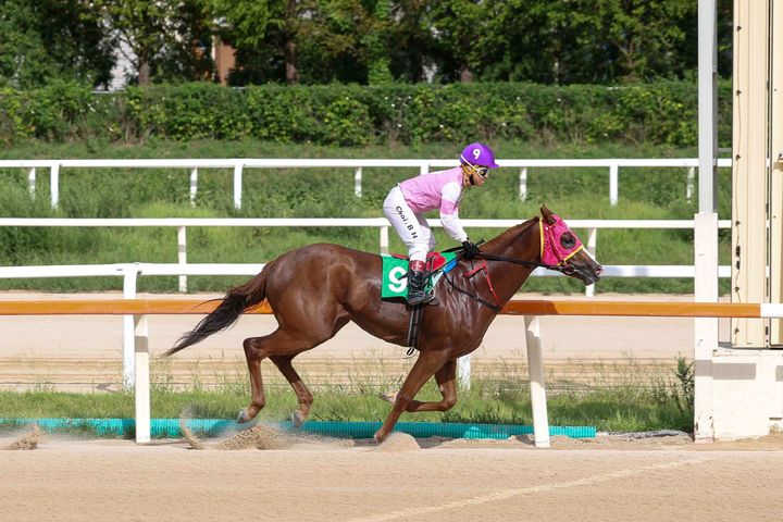 [부산=뉴시스] 루키 서울 '치프스타' 우승장면. (사진=한국마사회 부산경남본부 제공) 2025.08.21. photo@newsis.com *재판매 및 DB 금지