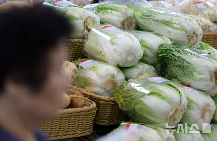 재배면적 줄어 배춧값 뛸라…농식품부, 여름배추 안정생산 선제 대응