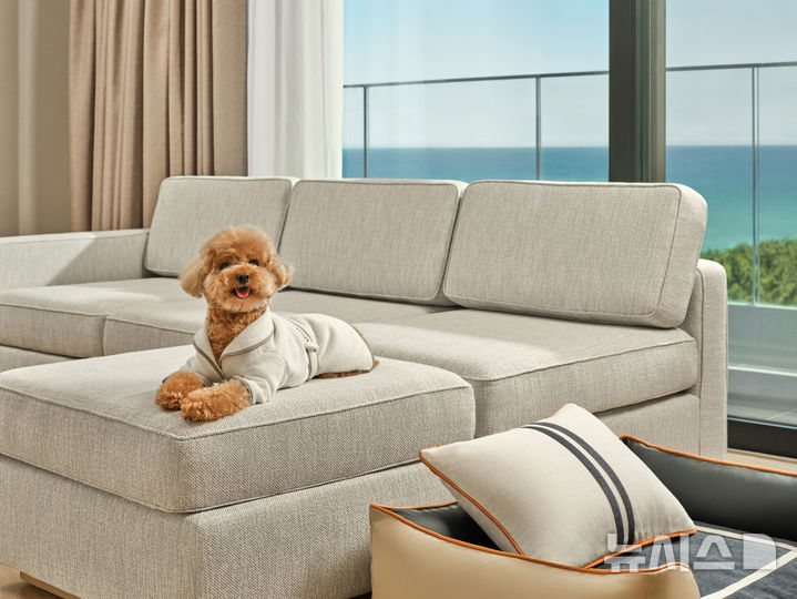 신라모노그램 강릉, '반려견 동반' 펫 객실 운영…패키지 선봬