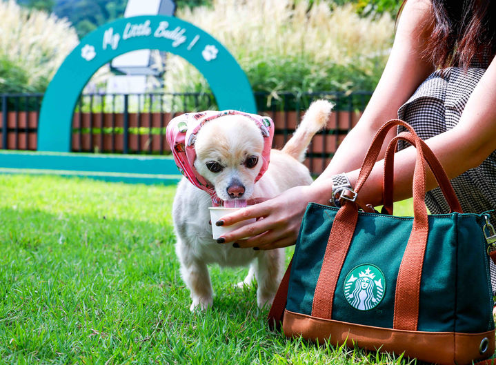 [서울=뉴시스] 스타벅스 더북한강R점에서 '퍼푸치노'를 즐기는 반려견과 고객.(사진=스타벅스 제공) *재판매 및 DB 금지