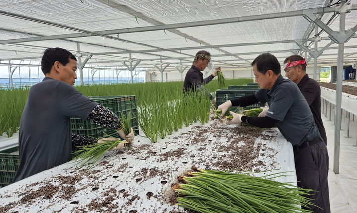 보은군 양념채소 스마트팜 *재판매 및 DB 금지