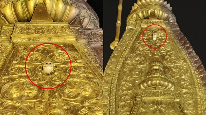 [뉴시스] 카시 비슈와나트 사원의 금빛 첨탑 위에 앉아 있는 흰 부엉이. 신도들은 이 장면을 여신 락슈미의 신성한 현신으로 받아들였다. (사진=엑스) 