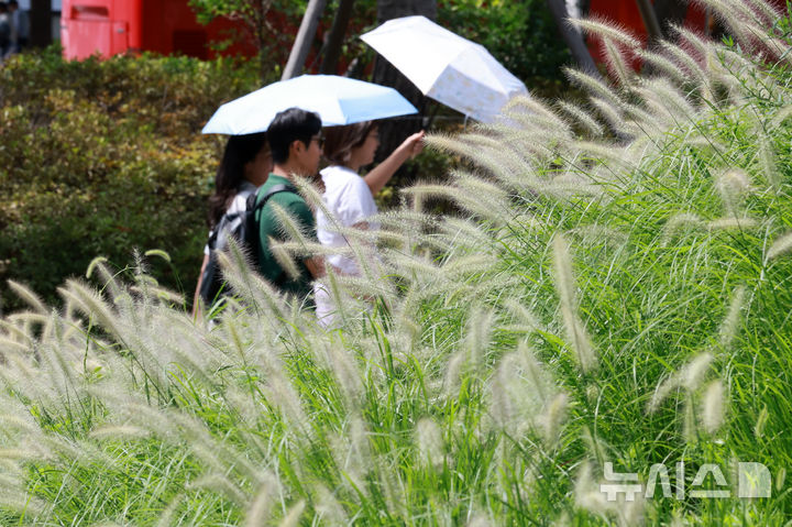 [서울=뉴시스] 이영환 기자 = 더위가 그친다는 절기상 처서를 하루 앞두고 찜통 더위가 이어지고 있는 22일 서울 종로구 청계광장에 핀 수크령 뒤로 양산을 쓴 시민들이 걸어가고 있다. 2025.08.22. 20hwan@newsis.com