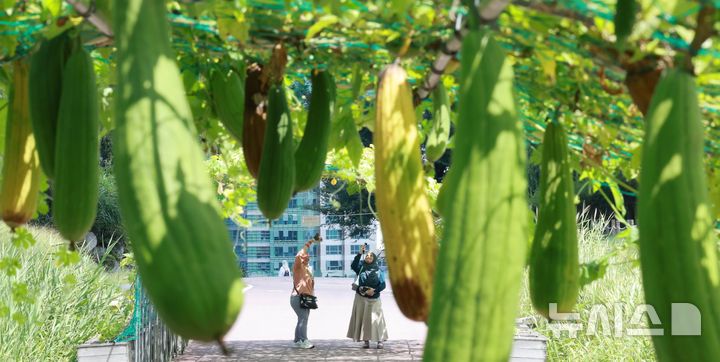 처서에도 폭염 기승…전북 낮 32~35도 '밤엔 열대야'