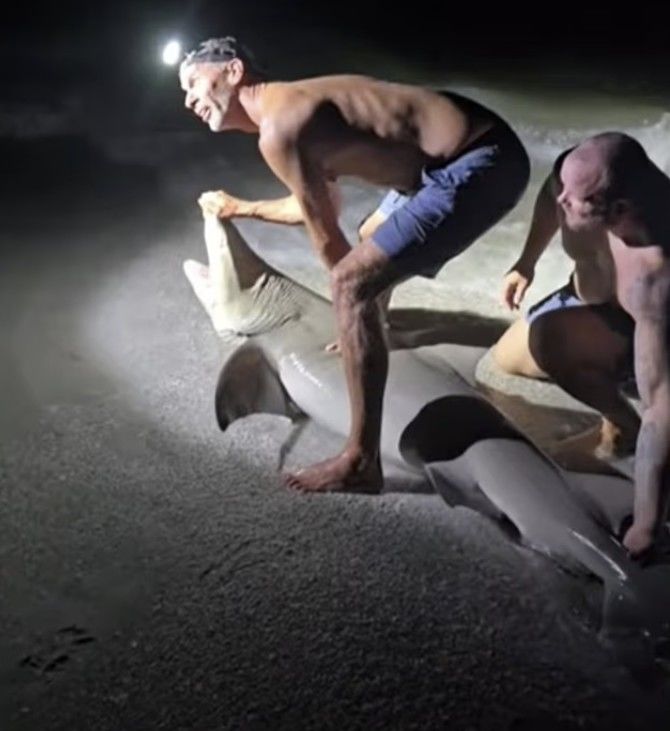 [서울=뉴시스] 미국 플로리다 해변에서 상어를 건져올린 한 남성이 기념사진을 찍으려다 상어의 습격을 받는 사고가 발생했다. (사진=데일리메일 갈무리) 2025.08.23 *재판매 및 DB 금지