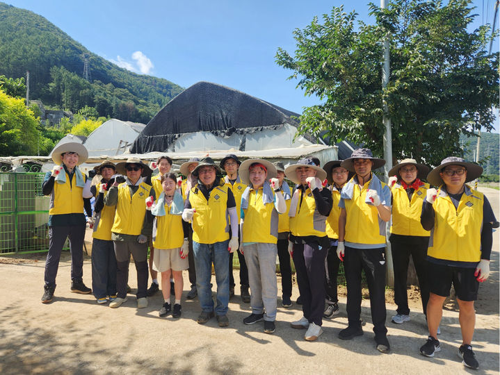 [수원=뉴시스] 시석중 이사장 등 임직원들이 가평군 청평면 수해 피해 농가에서 봉사활동을 벌였다. (사진=경기신보 제공) 2025.08.24. photo@newsis.com *재판매 및 DB 금지