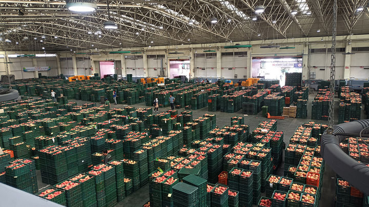  [안동=뉴시스] 안동시 농수산물도매시장 (사진=안동시 제공) 2025.08.25. photo@newsis.com *재판매 및 DB 금지