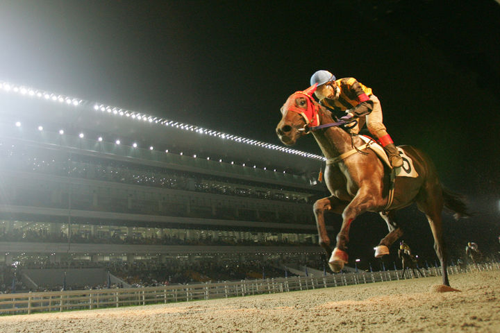 [부산=뉴시스] 렛츠런파크 부산경남 야간 경마 모습. (사진=한국마사회 렛츠런파크 부산경남 제공) 2025.08.25. photo@newsis.com *재판매 및 DB 금지