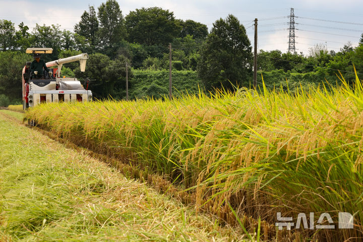 [화성=뉴시스] 황준선 기자 = 사진은 지난해 8월25일 경기 화성시 정남면의 한 논에서 열린 2025년 화성시 조생종 벼베기 행사에서 농부가 콤바인으로 벼를 수확하고 있는 모습. 2025.08.25. hwang@newsis.com