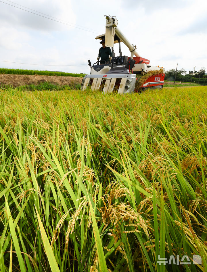 [화성=뉴시스] 황준선 기자 = 25일 경기 화성시 정남면의 한 논에서 열린 2025년 화성시 조생종 벼베기 행사에서 농부가 콤바인으로 벼를 수확하고 있다. 2025.08.25. hwang@newsis.com
