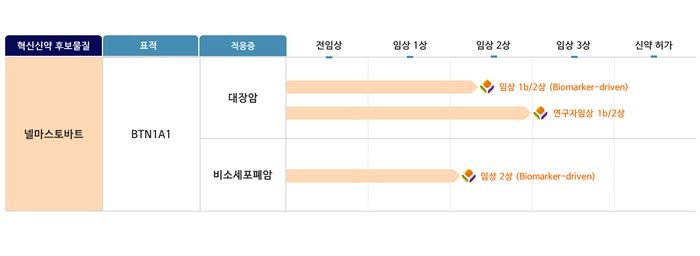 [서울=뉴시스] 넬마스토바트 파이프라인 현황 (사진=에스티큐브 제공) 2025.08.26. photo@newsis.com *재판매 및 DB 금지
