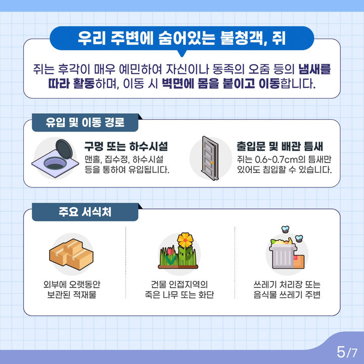 [서울=뉴시스] 쥐 대응 요령 안내. 2025.08.26. (자료=서울시 제공) *재판매 및 DB 금지