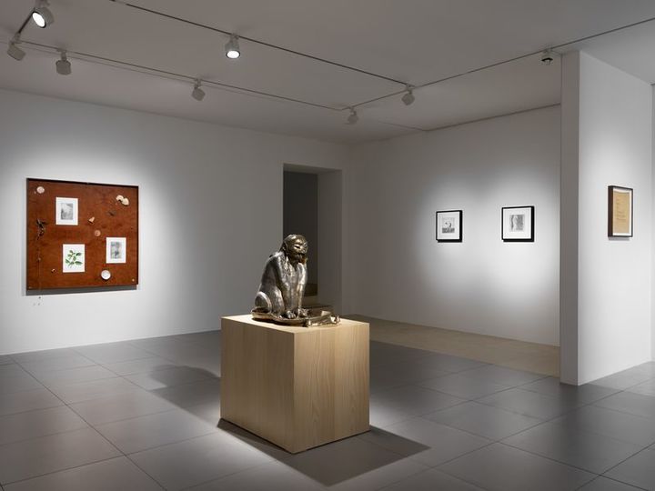 이강승, 캔디스 린 《나 아닌, 내가 아닌, 나를 통해 부는 바람》 전시 전경 이미지, 갤러리현대, 서울, 2025_1층 *재판매 및 DB 금지