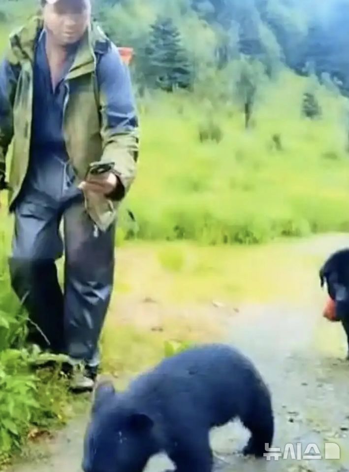 [뉴시스]혼자 남겨진 새끼흑곰이 주민의 뒤를 졸졸 따라가는 모습.(사진=홍성신문) 