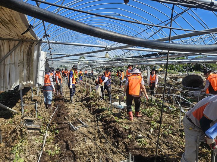  *재판매 및 DB 금지