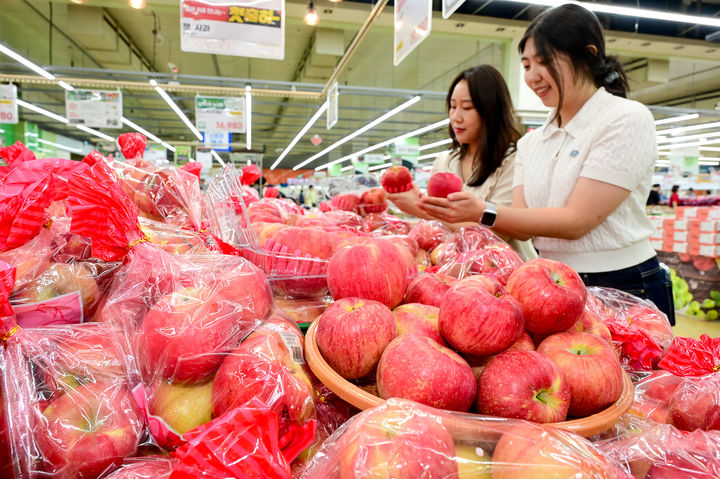 [서울=뉴시스] 26일 서울 서초구 농협유통 하나로마트 양재점에서 모델들이 추석 대표 과일인 '홍로' 품종 햇사과를 살펴보고 있다. 농협유통은 추석 대표 과일인 햇사과를 올해 처음 판매한다. (사진=농협유통 제공) 2025.08.26. photo@newsis.com *재판매 및 DB 금지