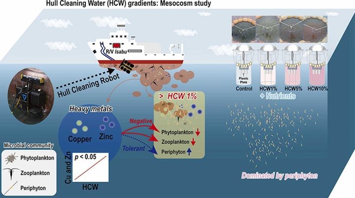 [부산=뉴시스] 선체 수중청소로봇 청소부산물의 해양 생태계 영향 평가 요약 그래픽 (그림=한국해양과학기술원 제공) 2025.08.27. photo@newsis.com *재판매 및 DB 금지